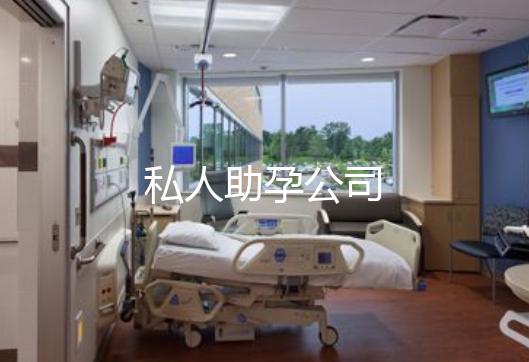 私人助孕公司