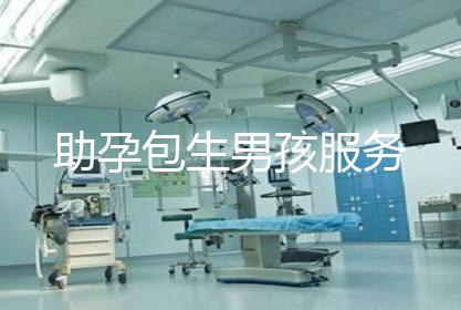 助孕包生男孩服务